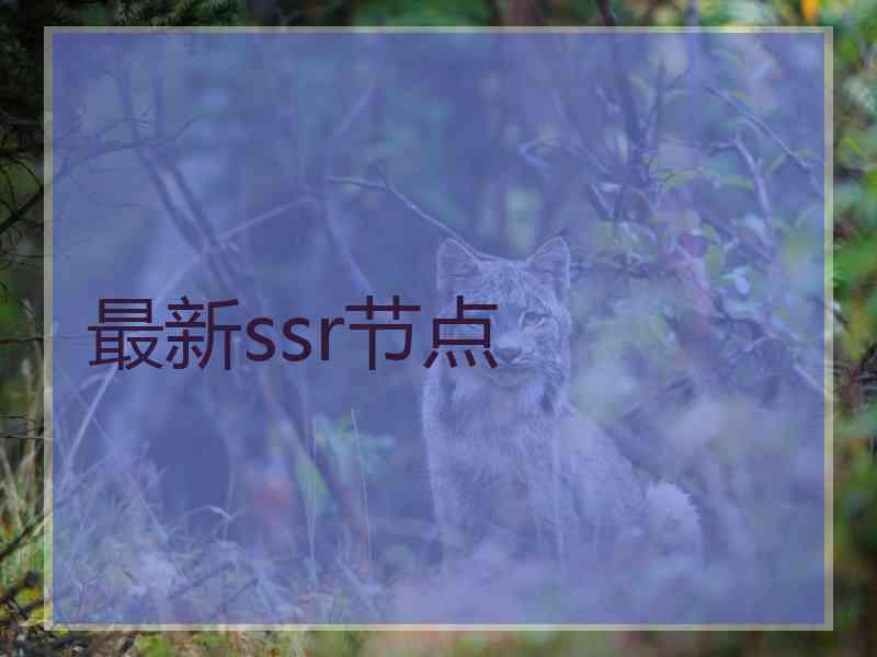 最新ssr节点