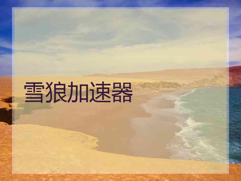 雪狼加速器