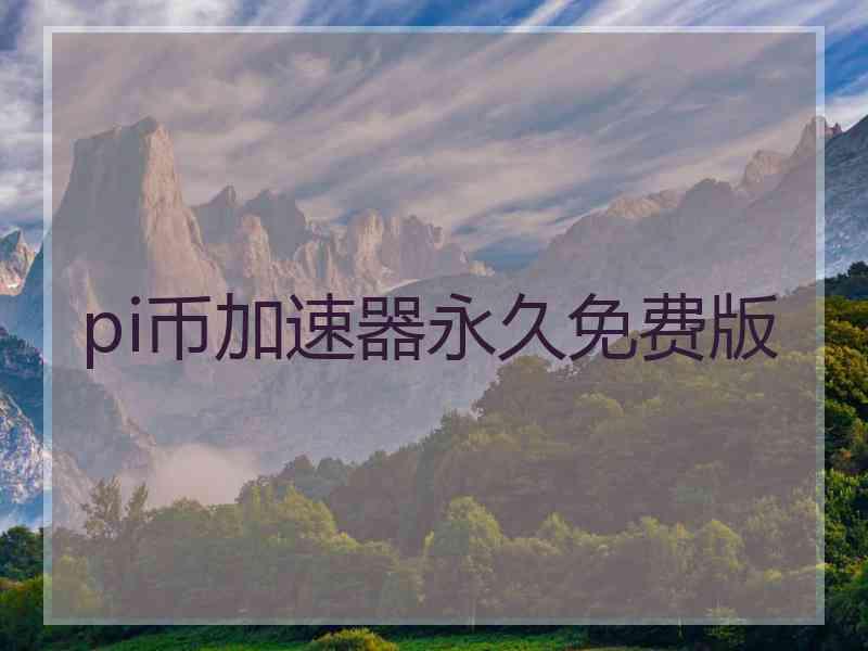 pi币加速器永久免费版
