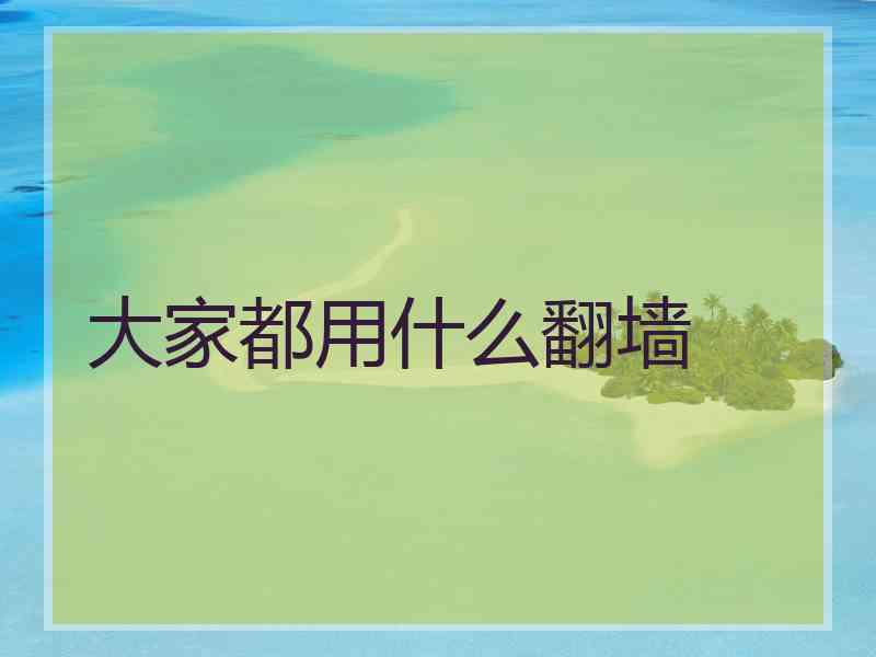 大家都用什么翻墙