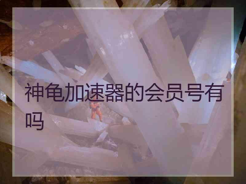 神龟加速器的会员号有吗