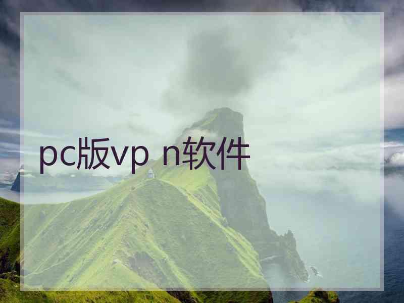pc版vp n软件
