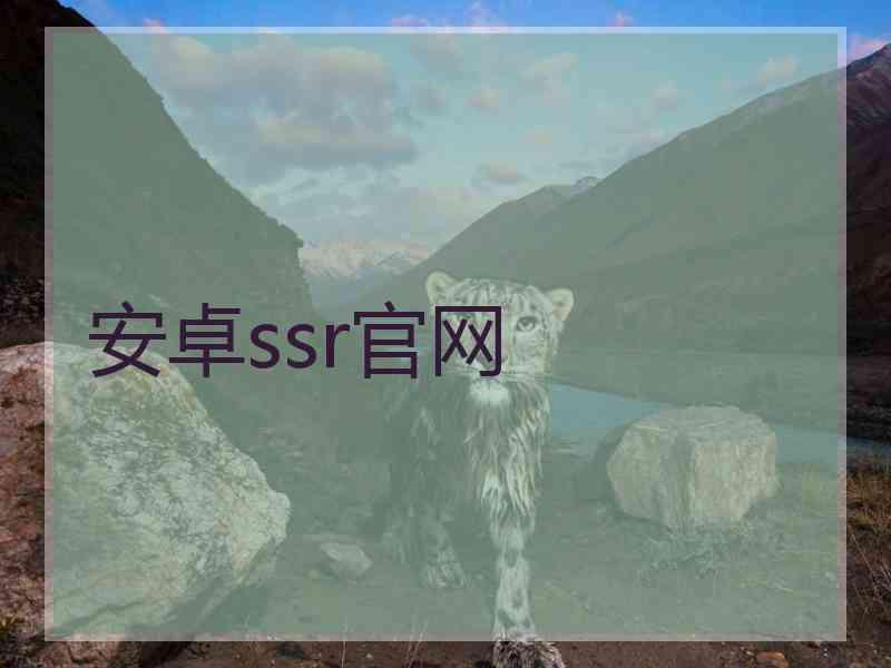 安卓ssr官网