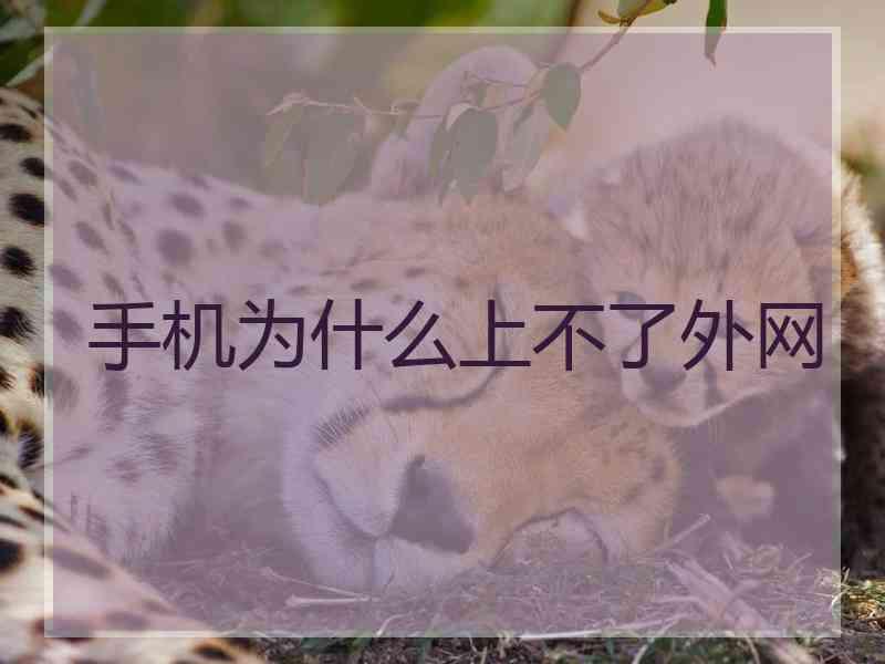 手机为什么上不了外网