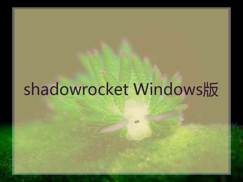 shadowrocket Windows版