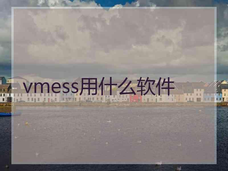 vmess用什么软件