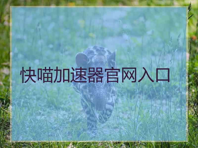快喵加速器官网入口