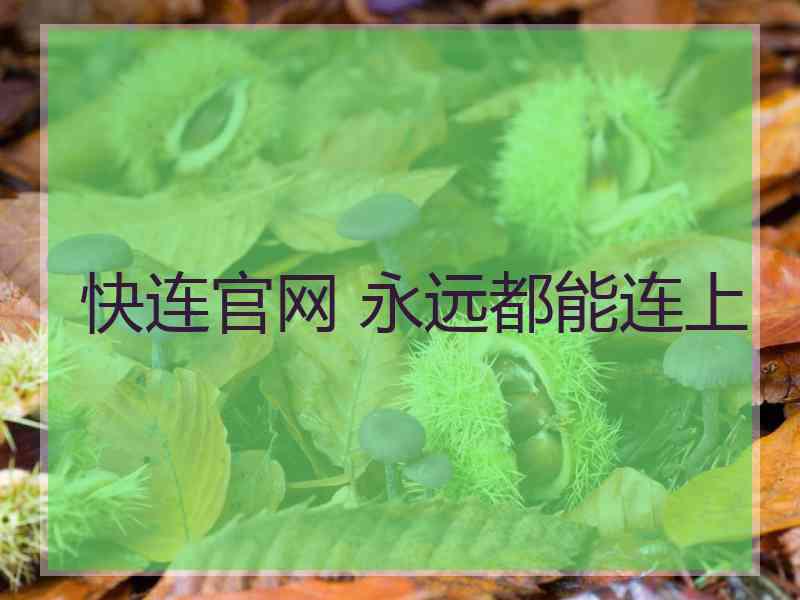 快连官网 永远都能连上