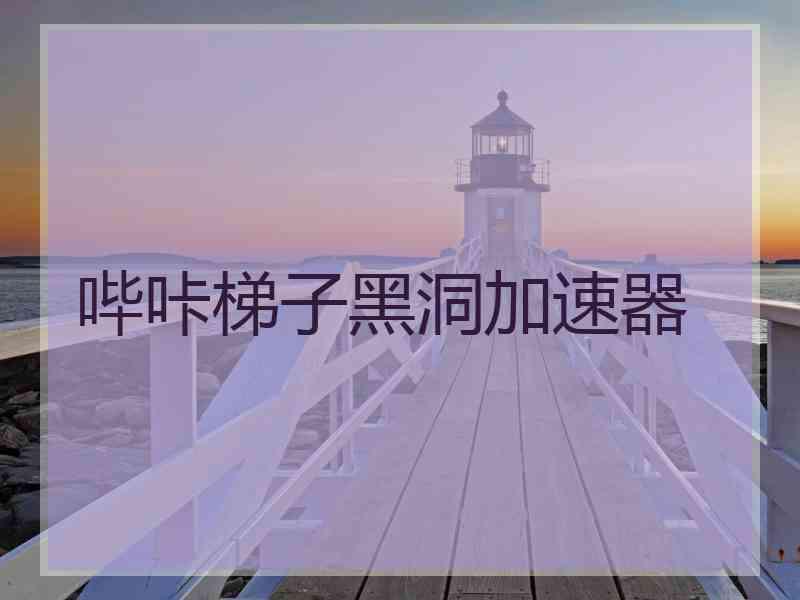 哔咔梯子黑洞加速器