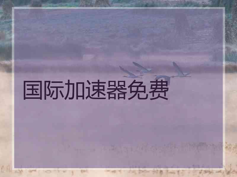 国际加速器免费