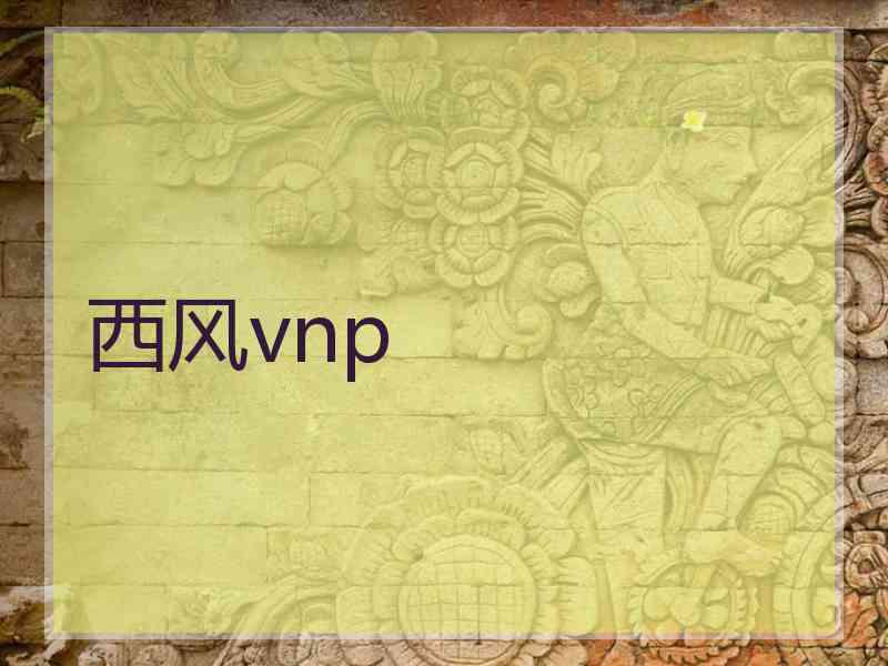 西风vnp