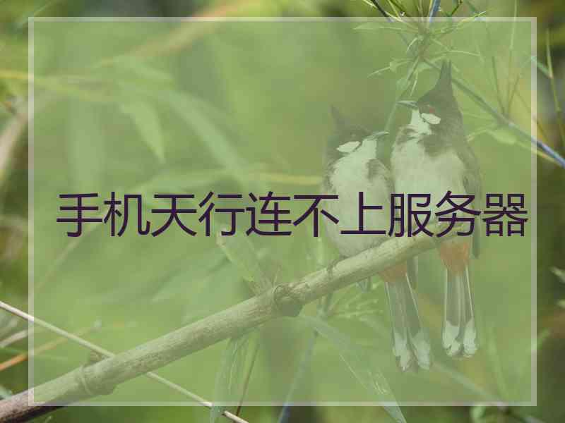 手机天行连不上服务器