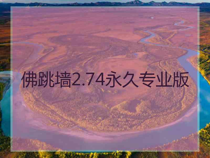 佛跳墙2.74永久专业版