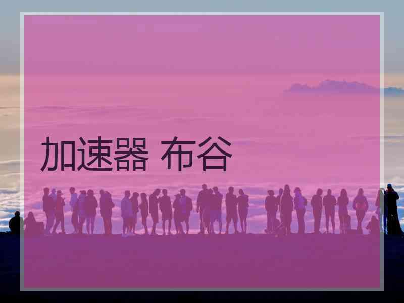 加速器 布谷