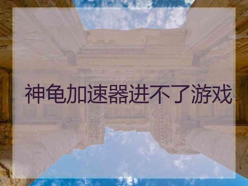 神龟加速器进不了游戏