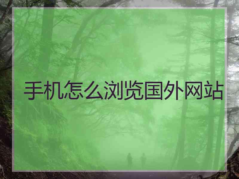 手机怎么浏览国外网站