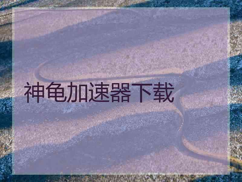 神龟加速器下载