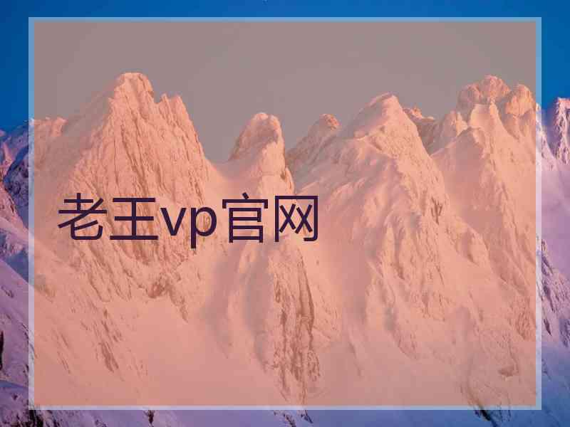 老王vp官网