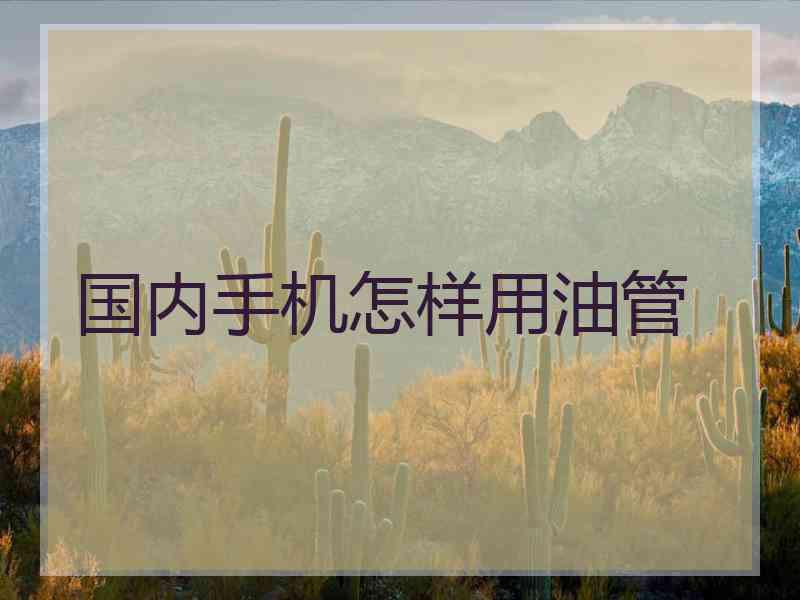 国内手机怎样用油管
