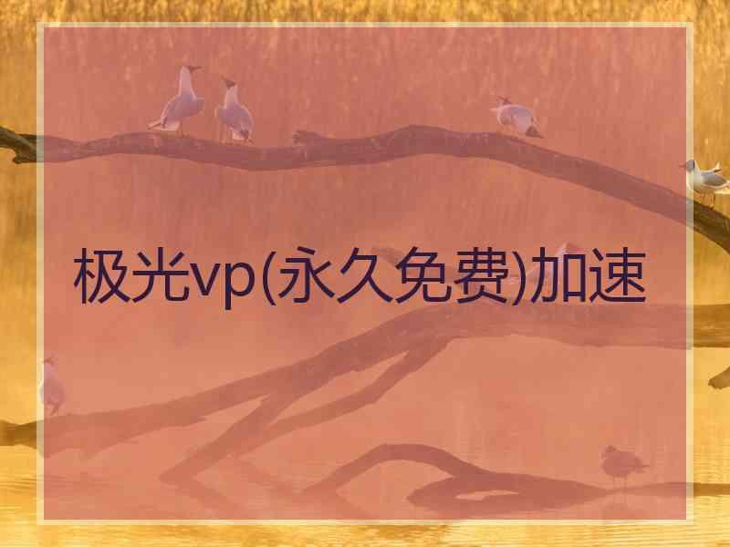 极光vp(永久免费)加速