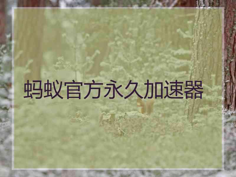 蚂蚁官方永久加速器