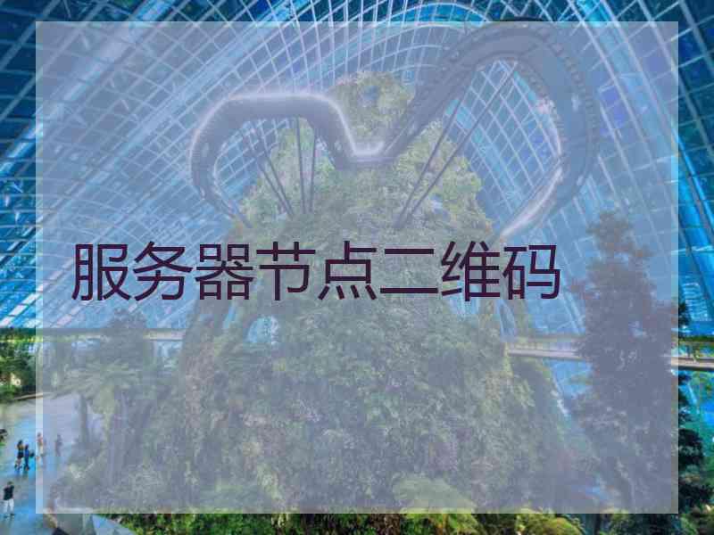 服务器节点二维码
