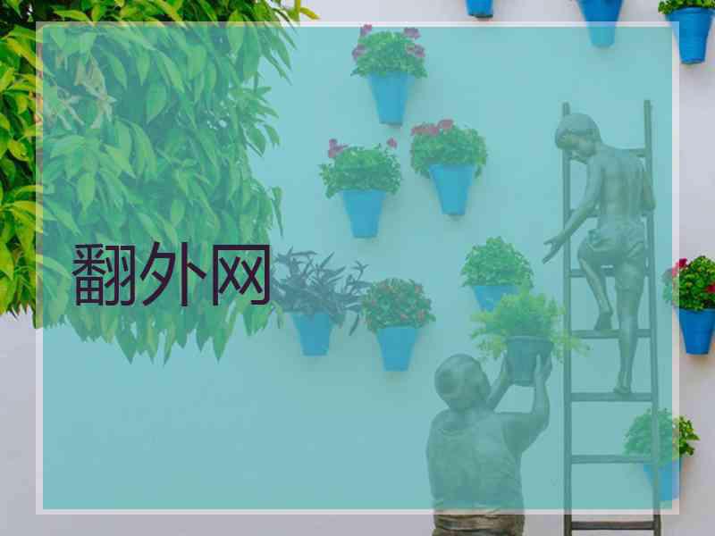 翻外网