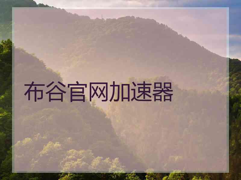 布谷官网加速器