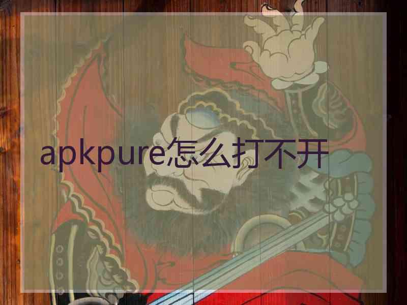 apkpure怎么打不开