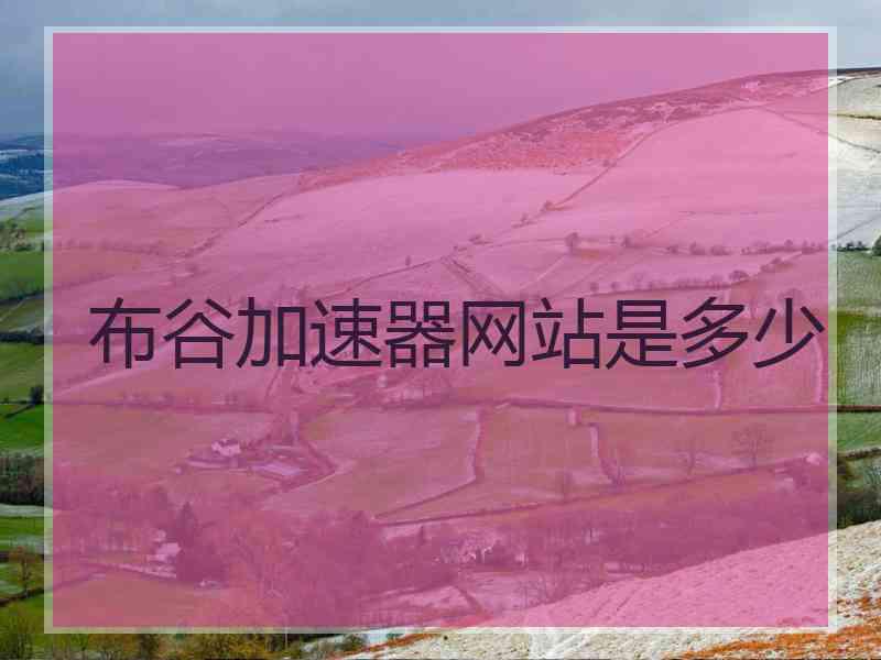 布谷加速器网站是多少