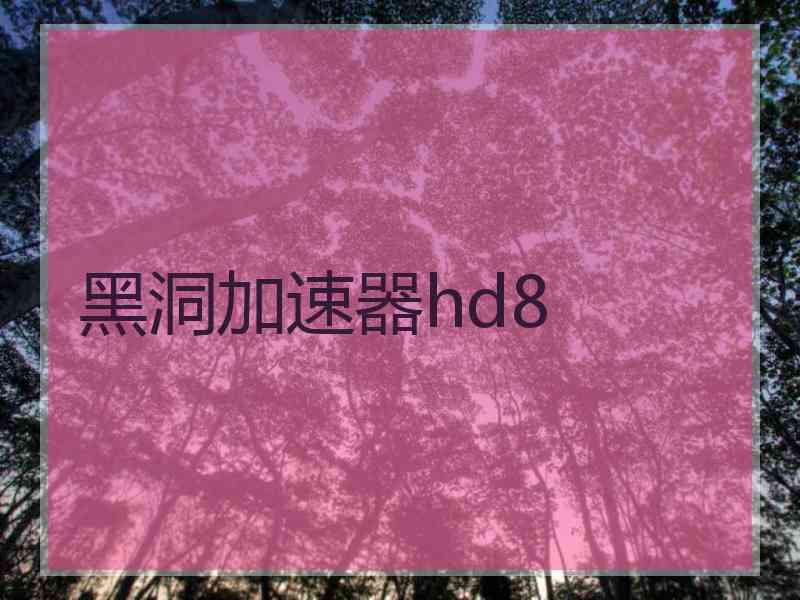 黑洞加速器hd8