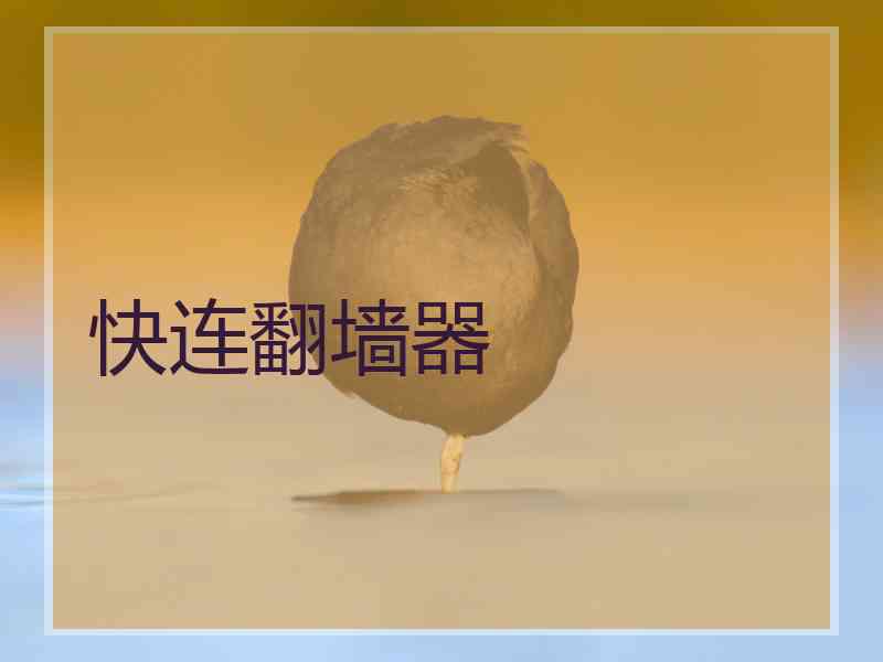 快连翻墙器