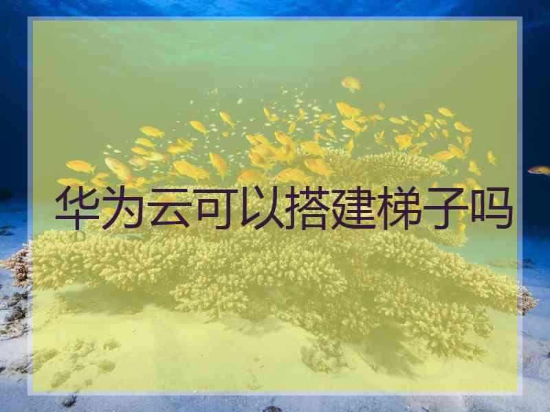 华为云可以搭建梯子吗