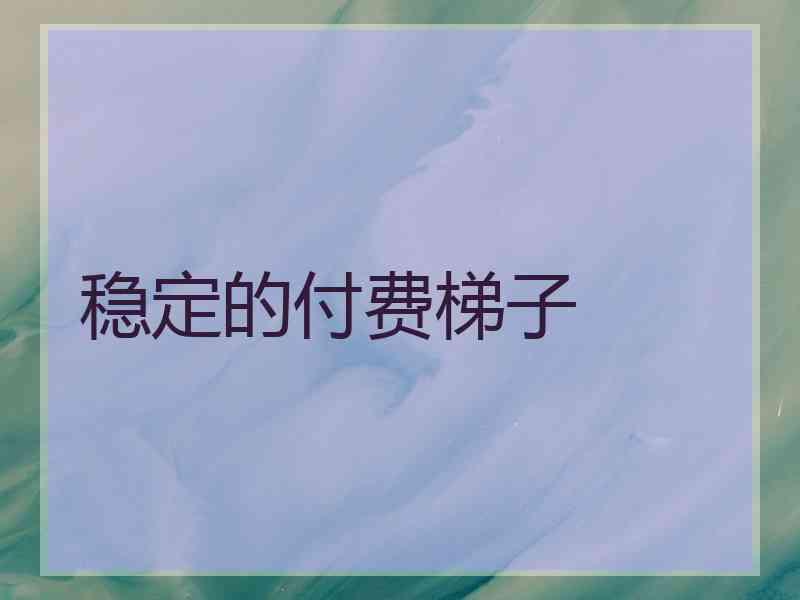 稳定的付费梯子