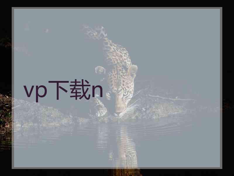 vp下载n