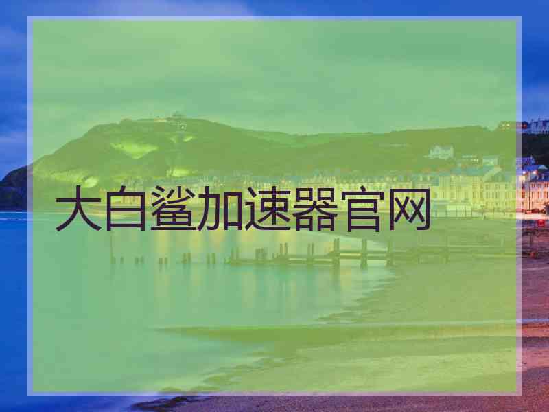 大白鲨加速器官网