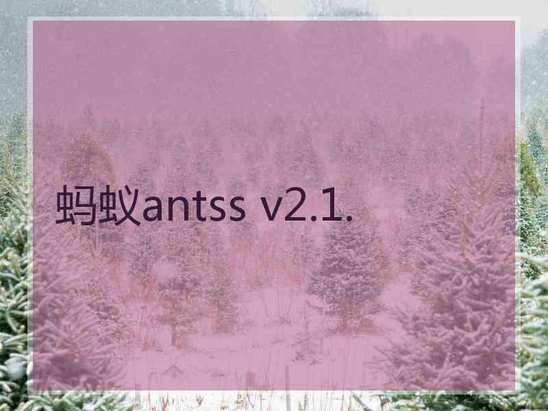 蚂蚁antss v2.1.