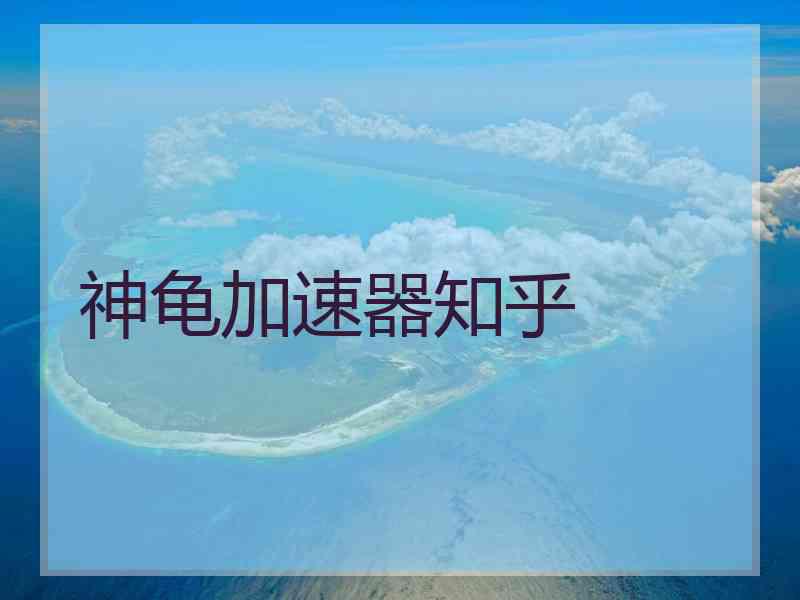 神龟加速器知乎