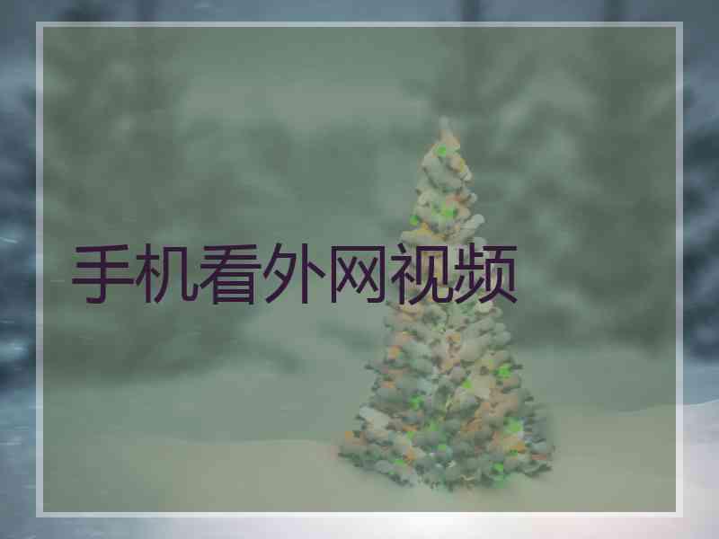 手机看外网视频