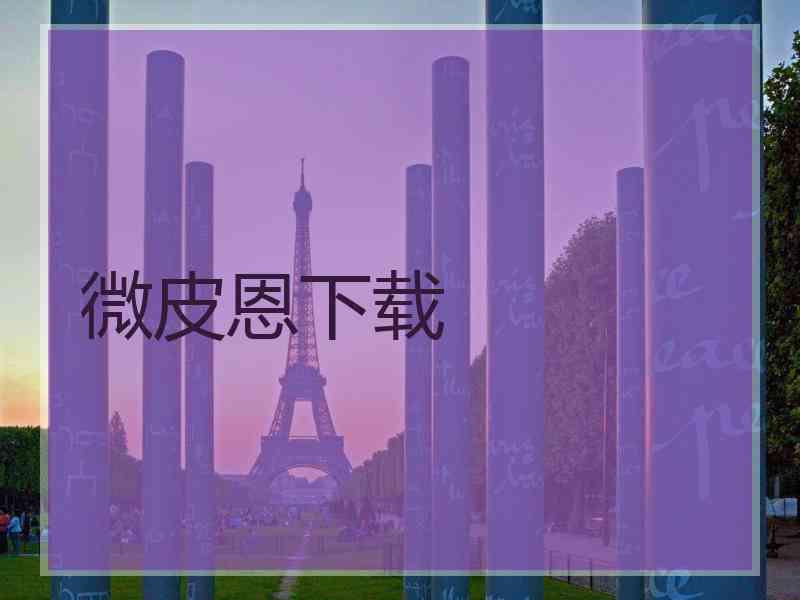 微皮恩下载