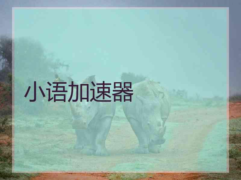 小语加速器