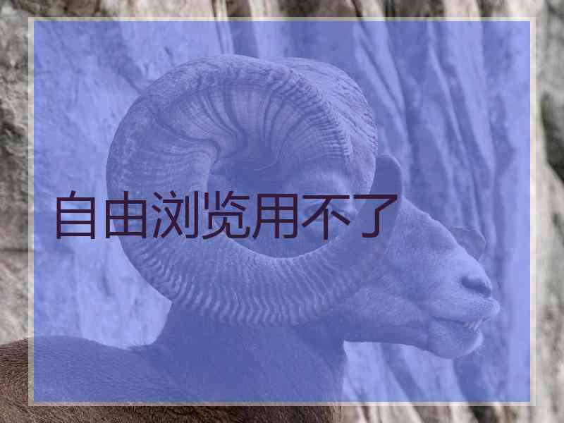 自由浏览用不了