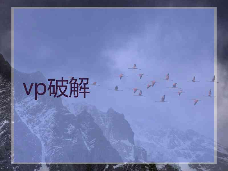 vp破解