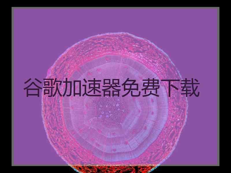 谷歌加速器免费下载