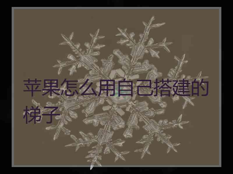 苹果怎么用自己搭建的梯子