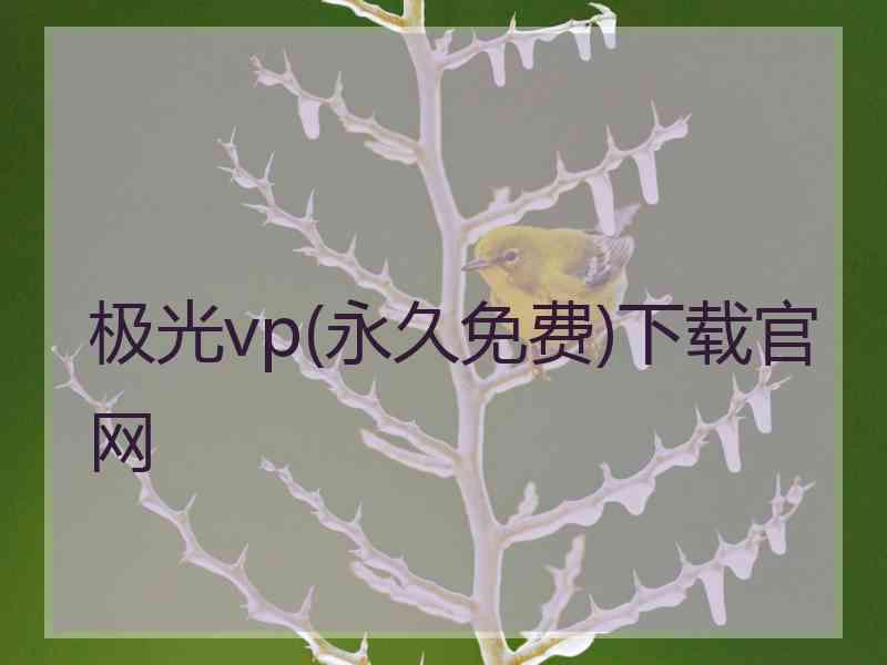 极光vp(永久免费)下载官网