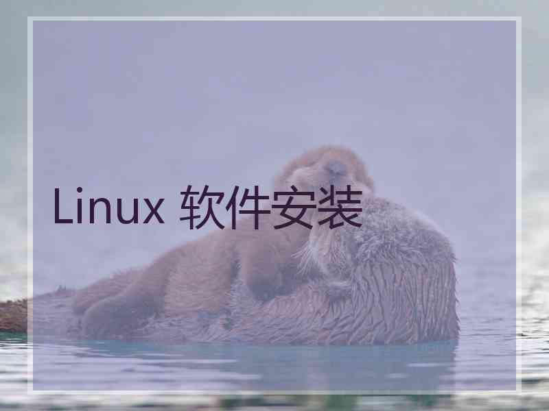Linux 软件安装