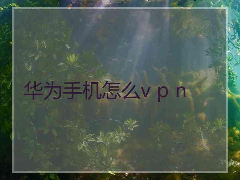 华为手机怎么v p n