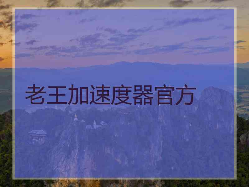 老王加速度器官方