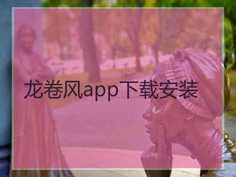 龙卷风app下载安装